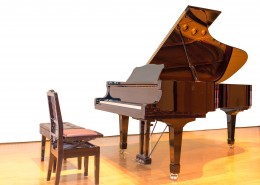 Elegant Piano Show picture
